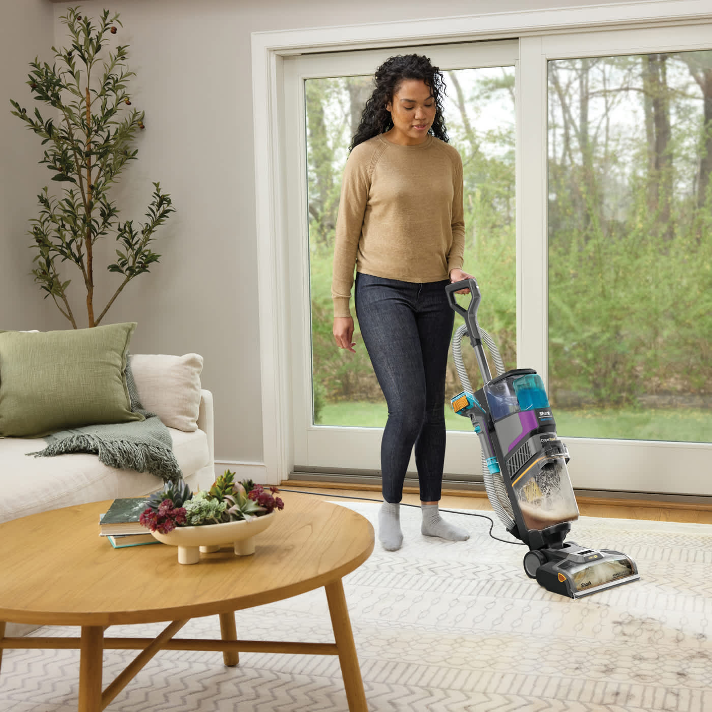 Carpet & Spot Cleaners