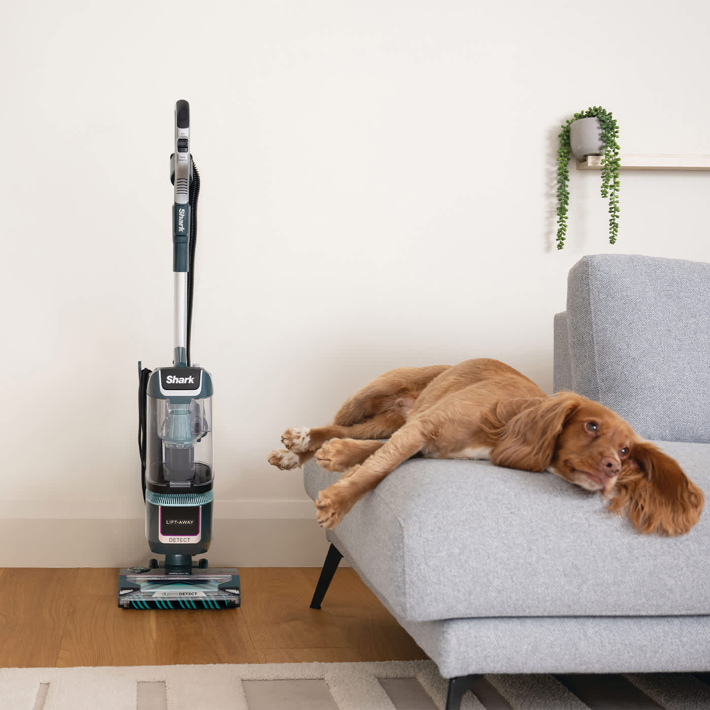 Upright Vacuum