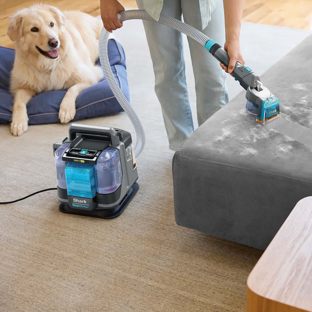 Shark StainStriker Pet nettoyant les poils de chien sur un canap&eacute;