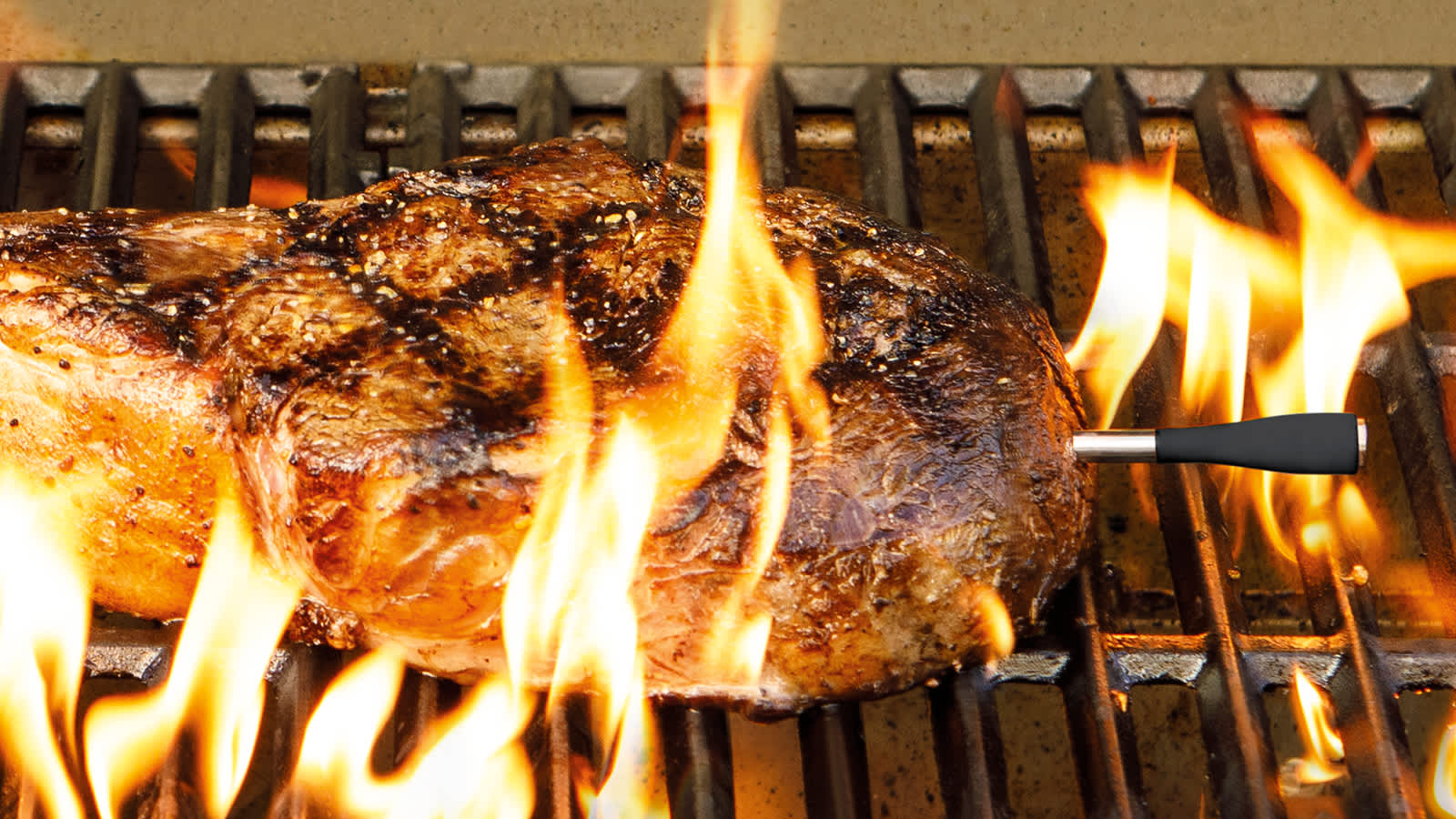 Thermosonde Ninja ins&eacute;r&eacute;e dans un steak.