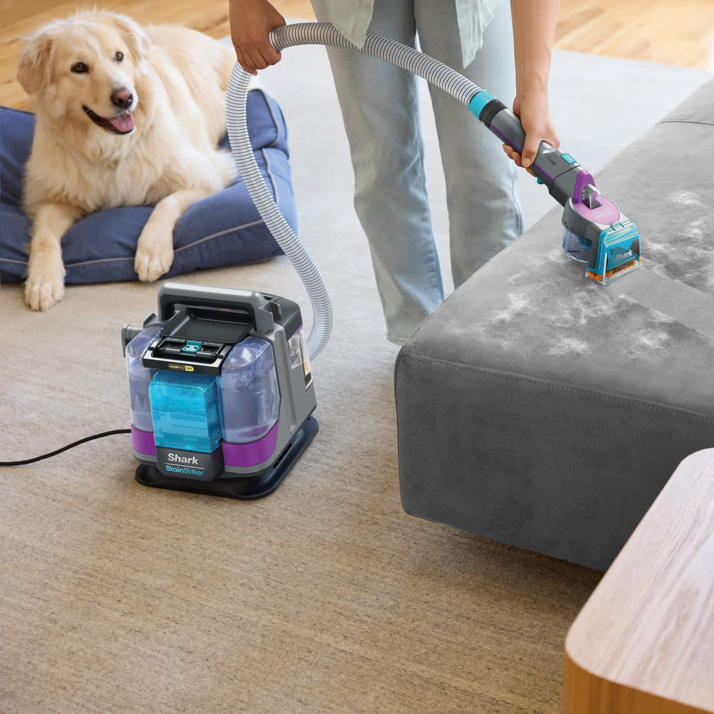 Personne nettoyant les poils de chien sur un canap&eacute; avec le nettoyeur d&eacute;tacheur Shark.