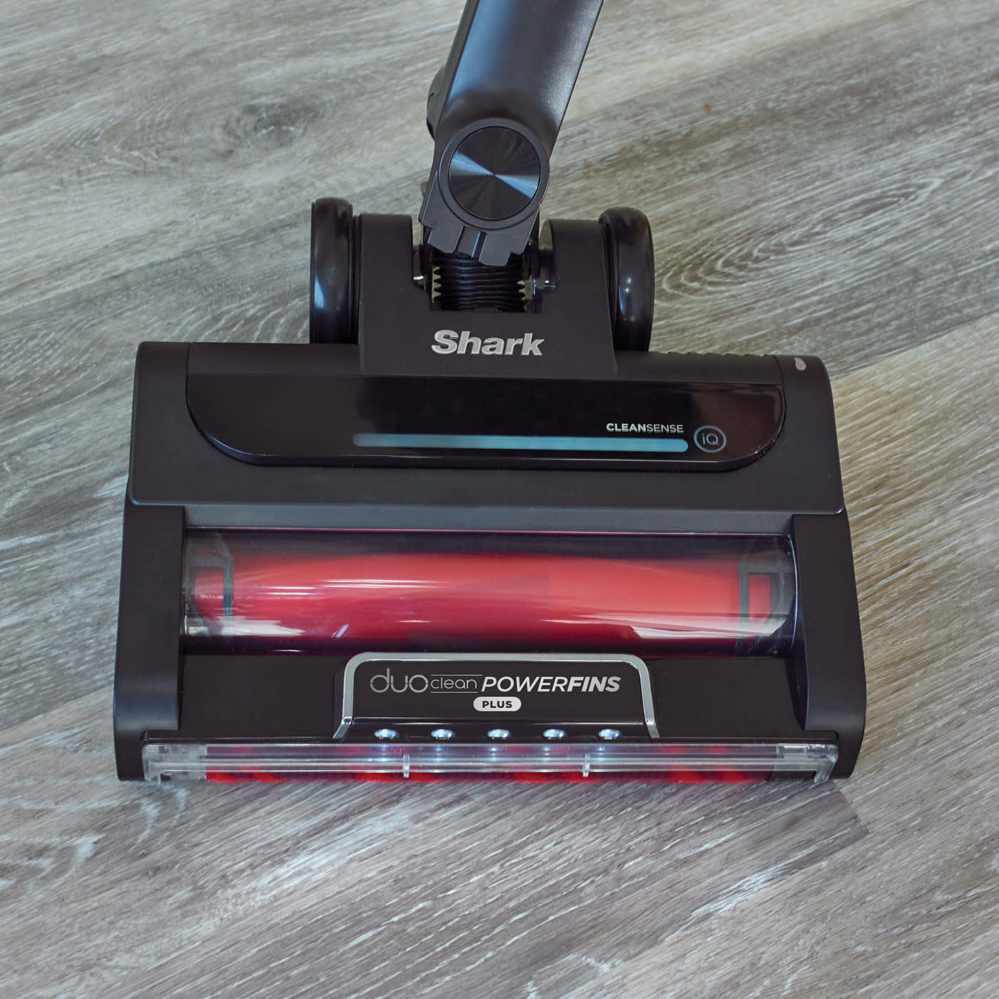 Shark Stratos Akku-Staubsauger saugt Boden