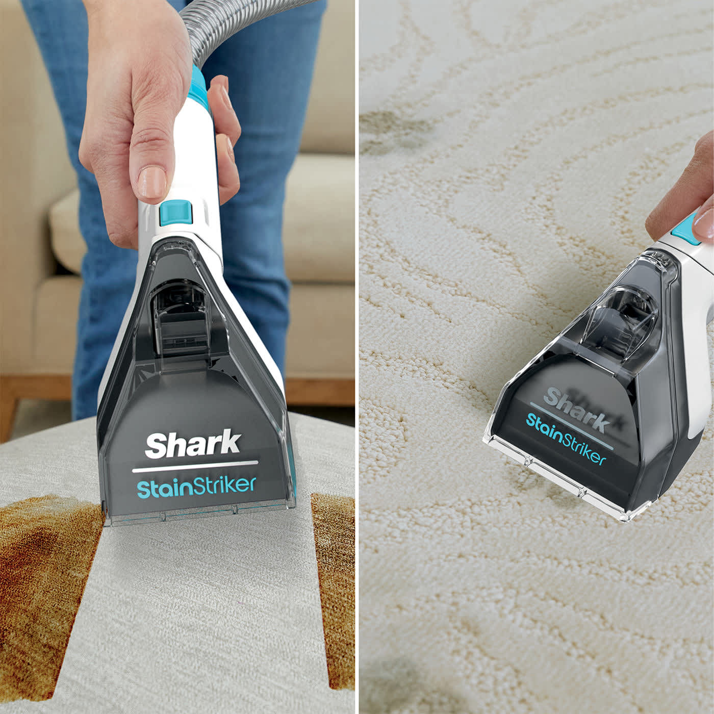 Shark Fleckenreiniger reinigt Teppich