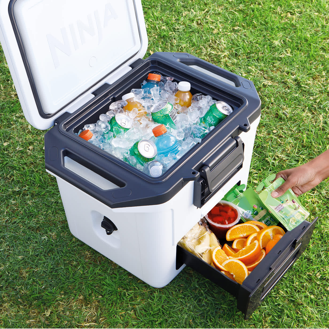 K&uuml;hlbox gef&uuml;llt mit Getr&auml;nken und Obst