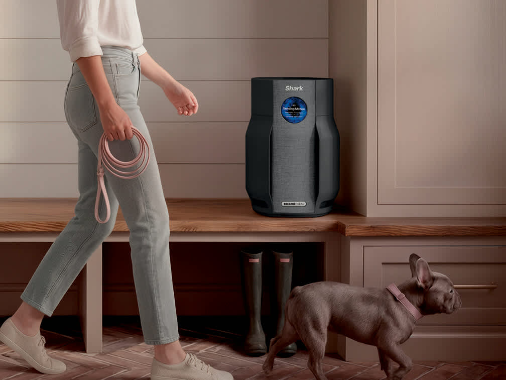 air purifier