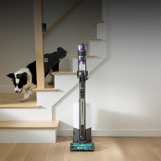 Aspirapolvere senza filo Shark PowerDetect