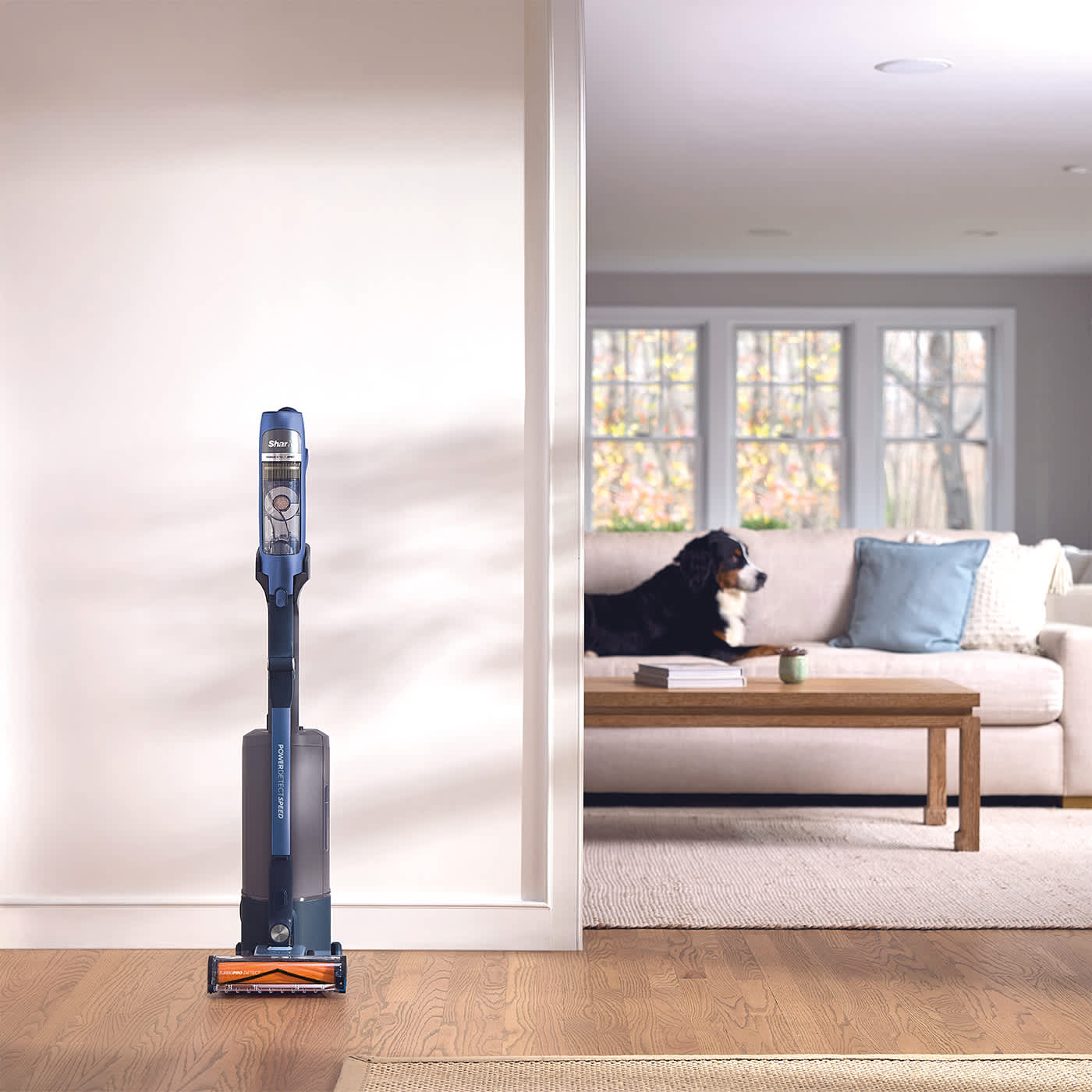 Aspirapolvere senza filo Shark PowerDetect Speed in un soggiorno con un cane