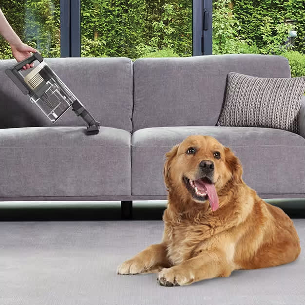 Perro sentado y mmujer aspirando pelo de mascota del sof&aacute;