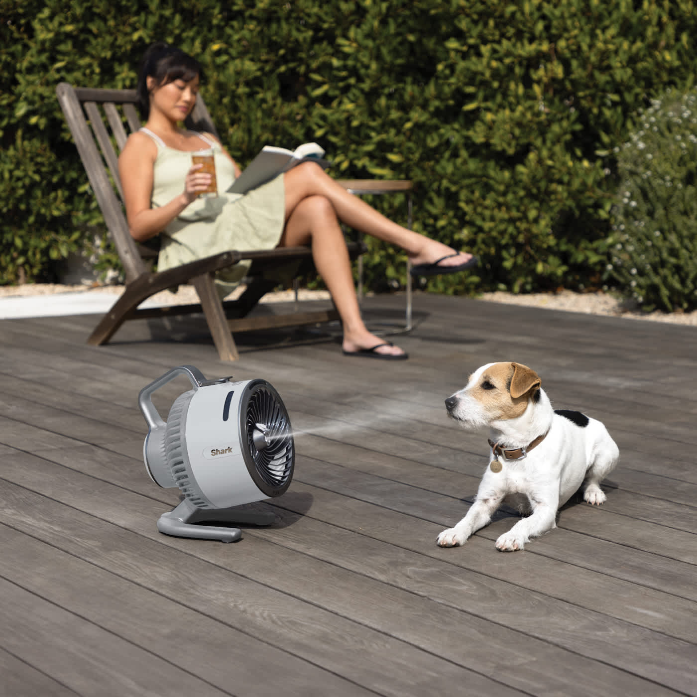 mujer y Perro en una terraza refrescandose con el ventilador