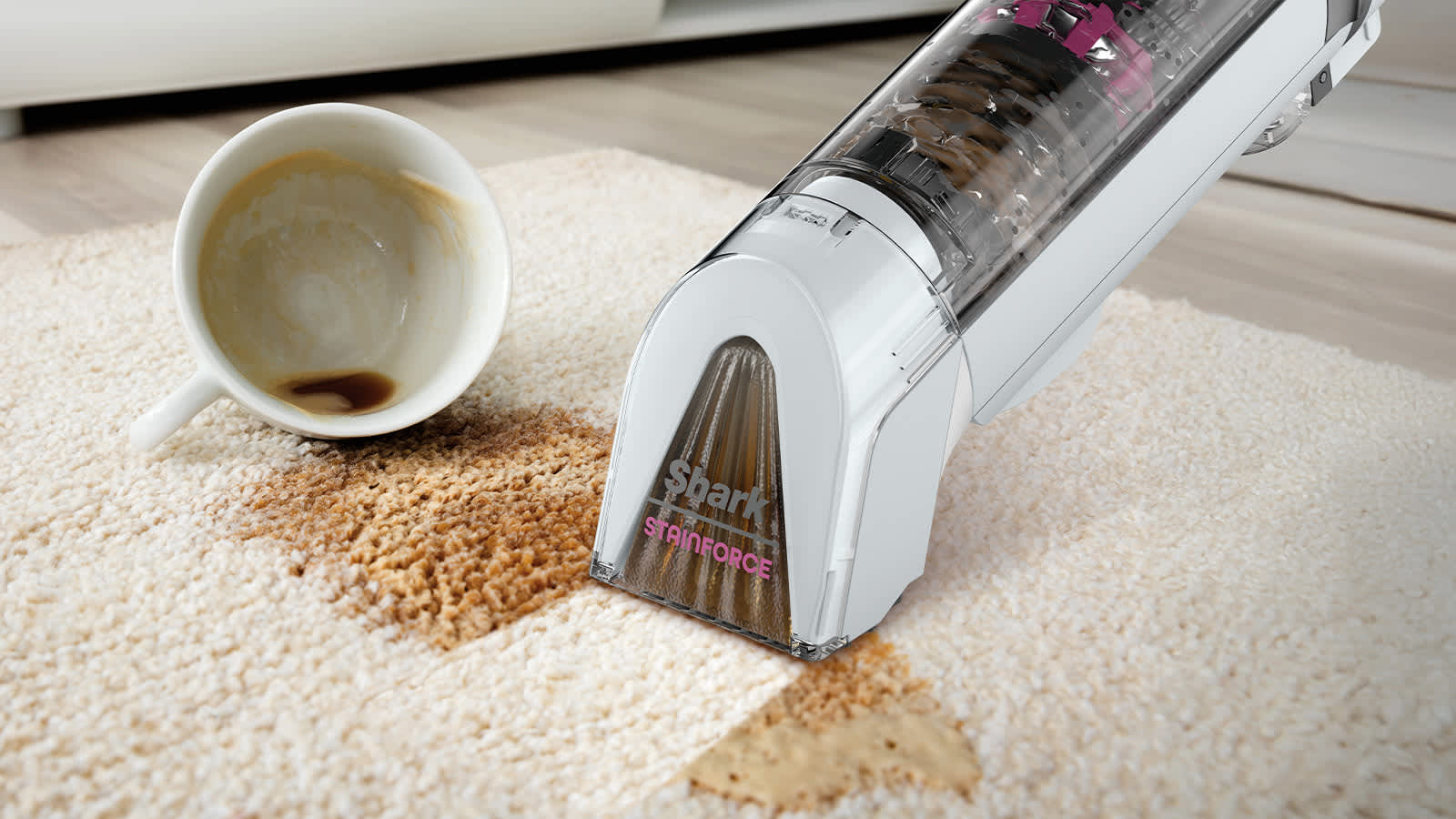 mujer limpiando mancha de caf&eacute; de alfombra