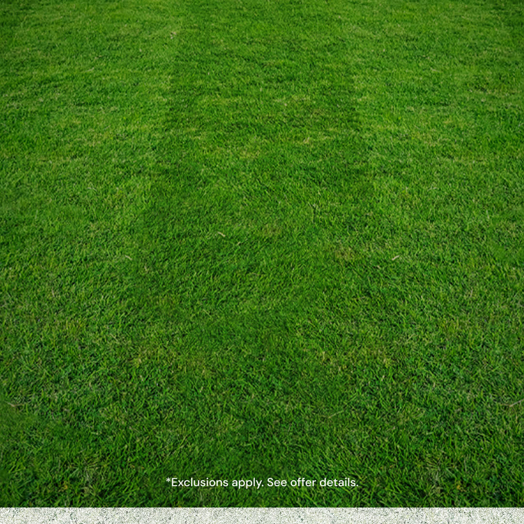 Score 15% off game day essentials with code GAMEDAY