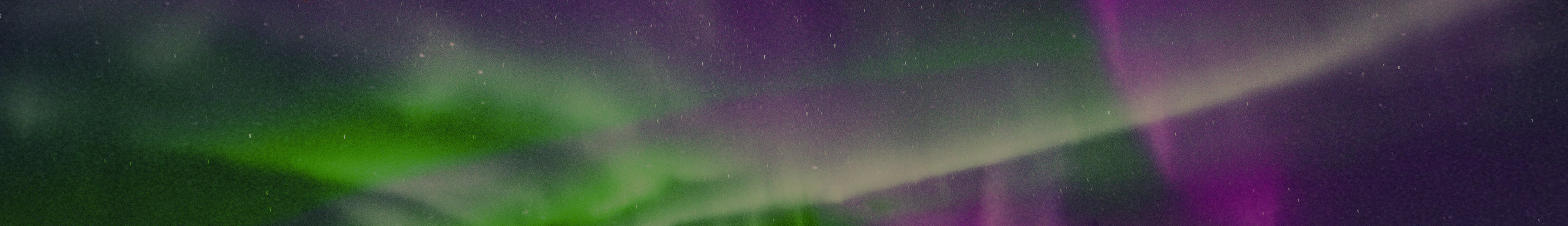 Black Friday Weekend