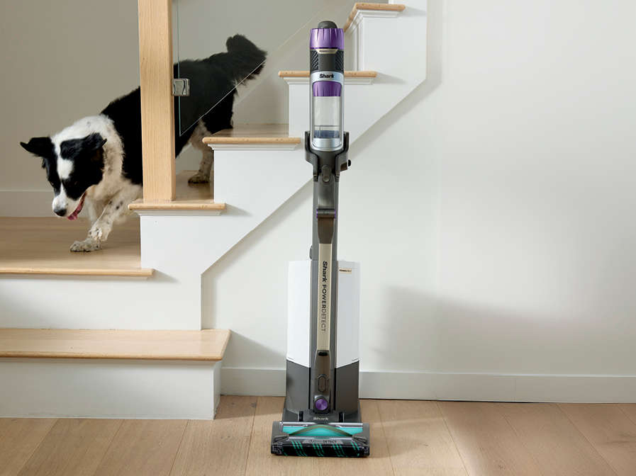 Cordless Vacuums