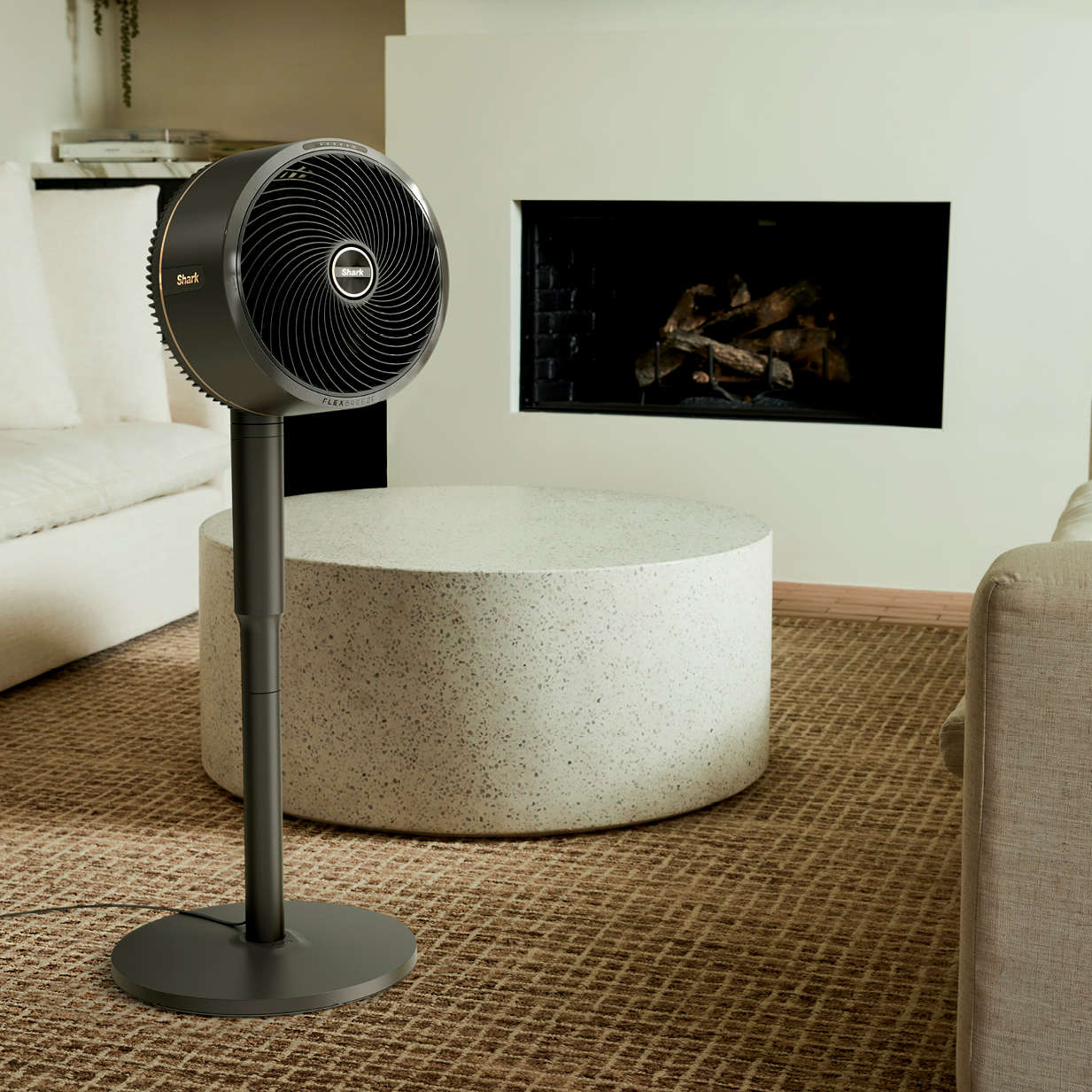 &iquest;Necesitas ayuda con tu ventilador?