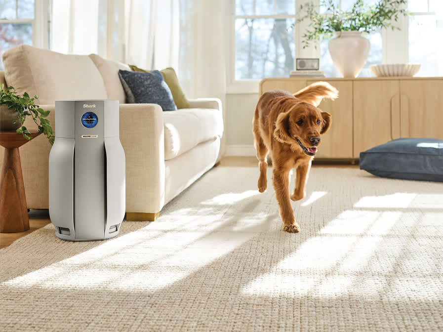 Air Purifiers for Large Rooms
