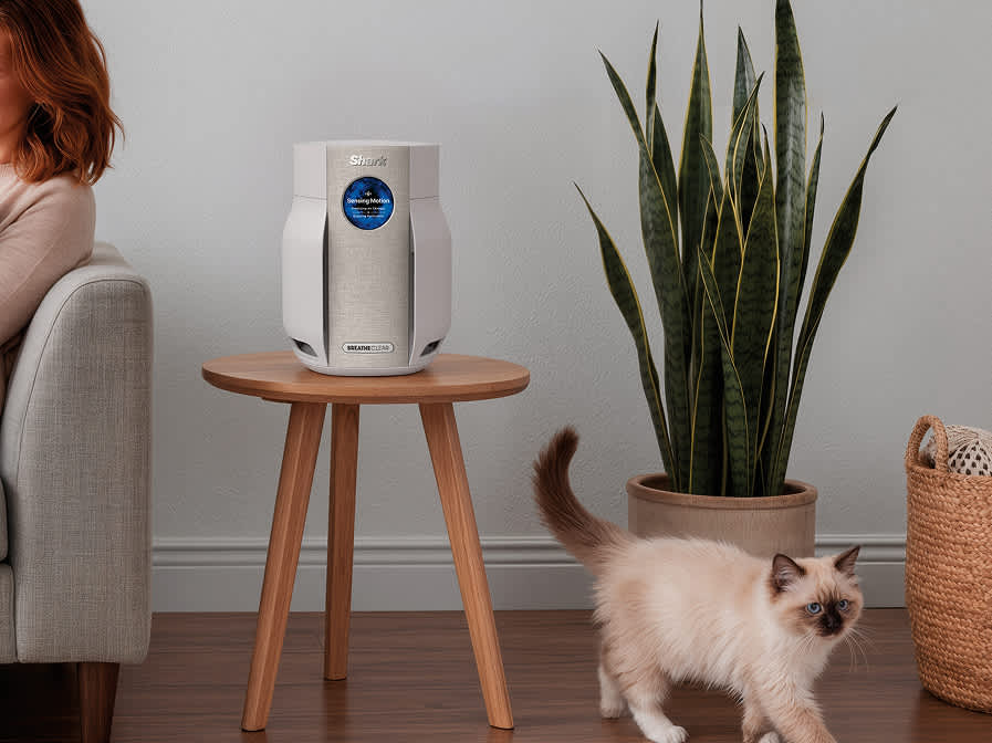 Air Purifiers for Small Rooms