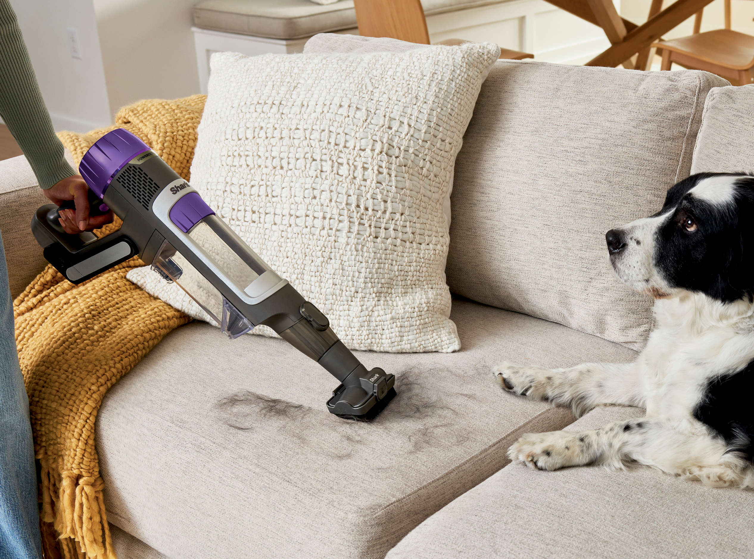 Take the fur out of furniture