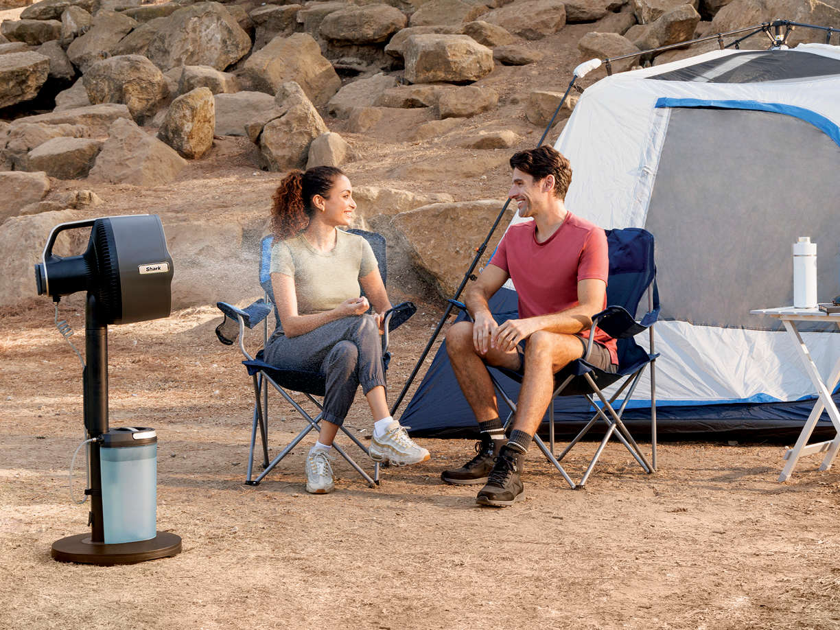 Mist beyond the backyard