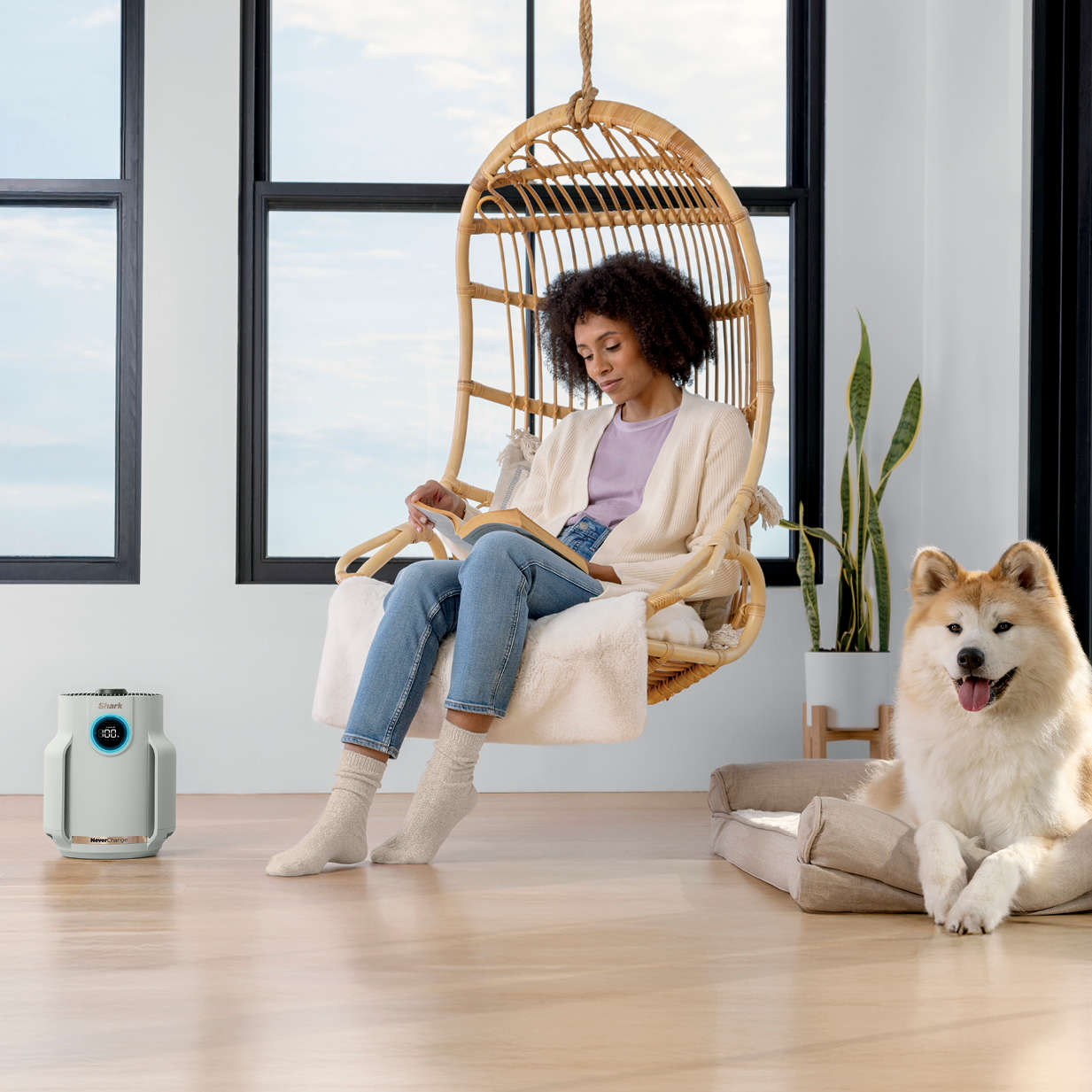 Fan & Air Purifier Support