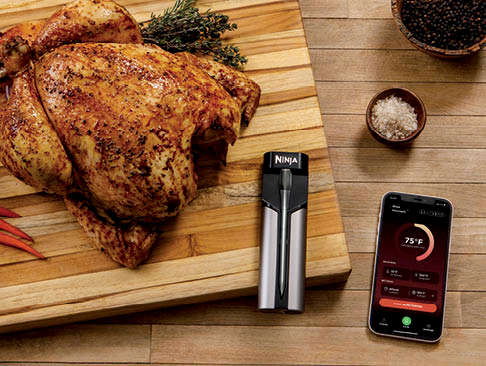 Wireless Thermometer 