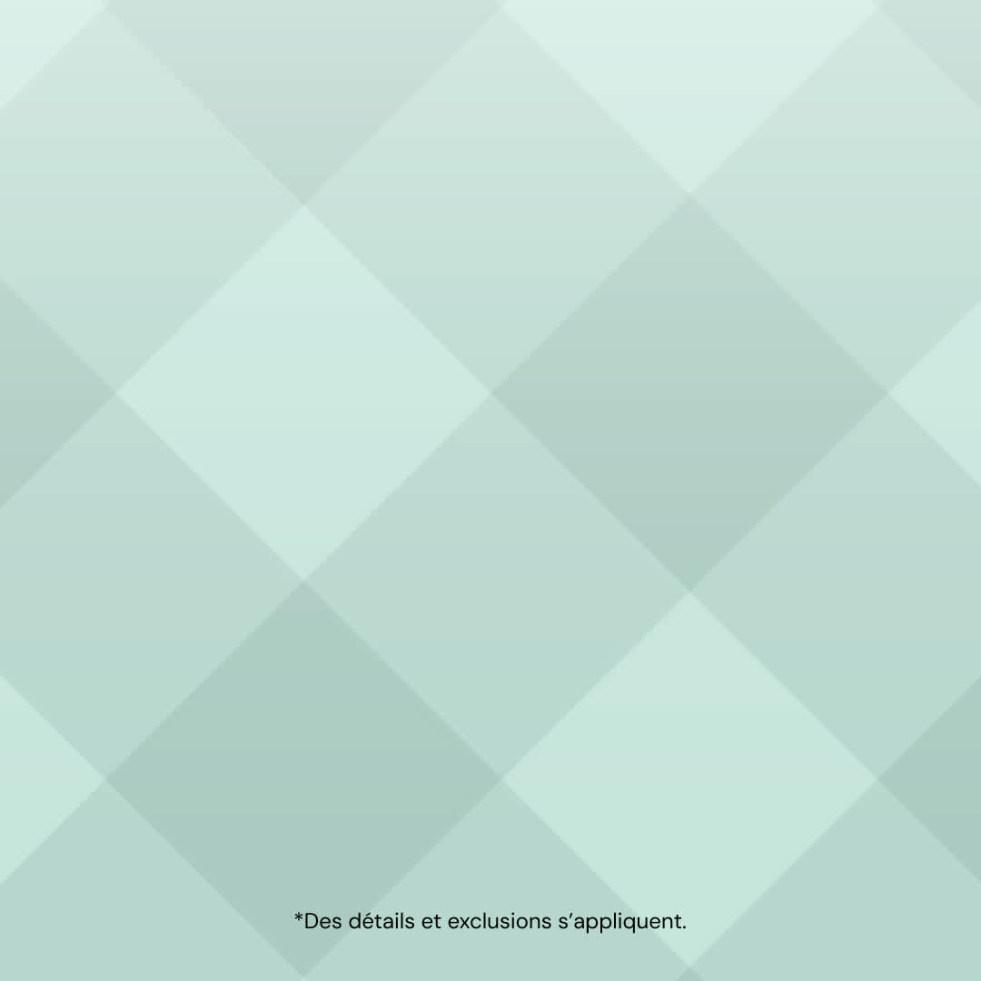 Banni&egrave;re de soldes de P&acirc;ques