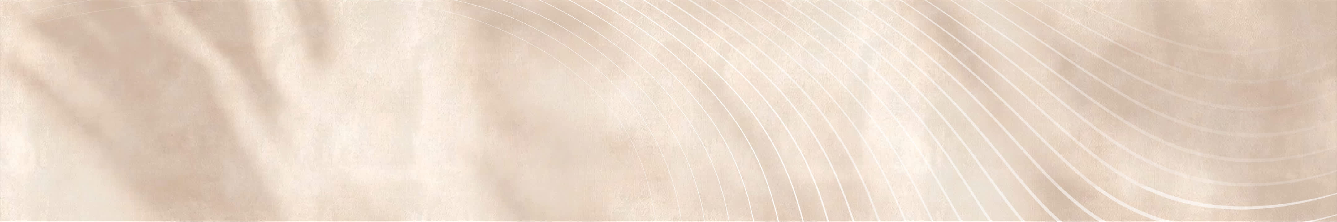 D&eacute;couvrez nos offres