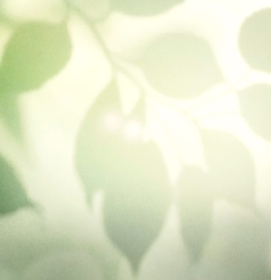 Explore our deals Banner