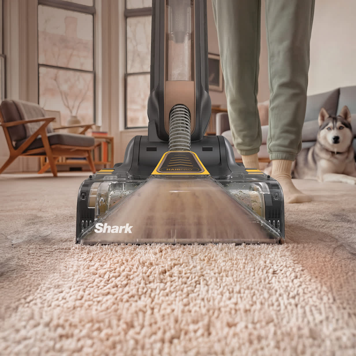 Built to take on pet hair.