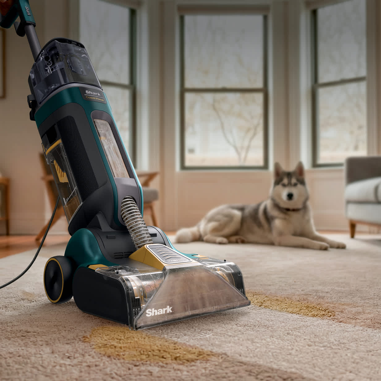 The lightweight carpet cleaner that cleans like a heavyweight.