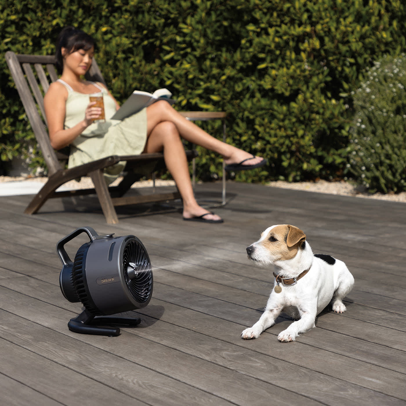 FlexBreeze diffusant une brume sur un chien.