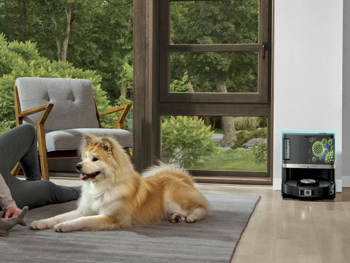 Perfect for homes with pets