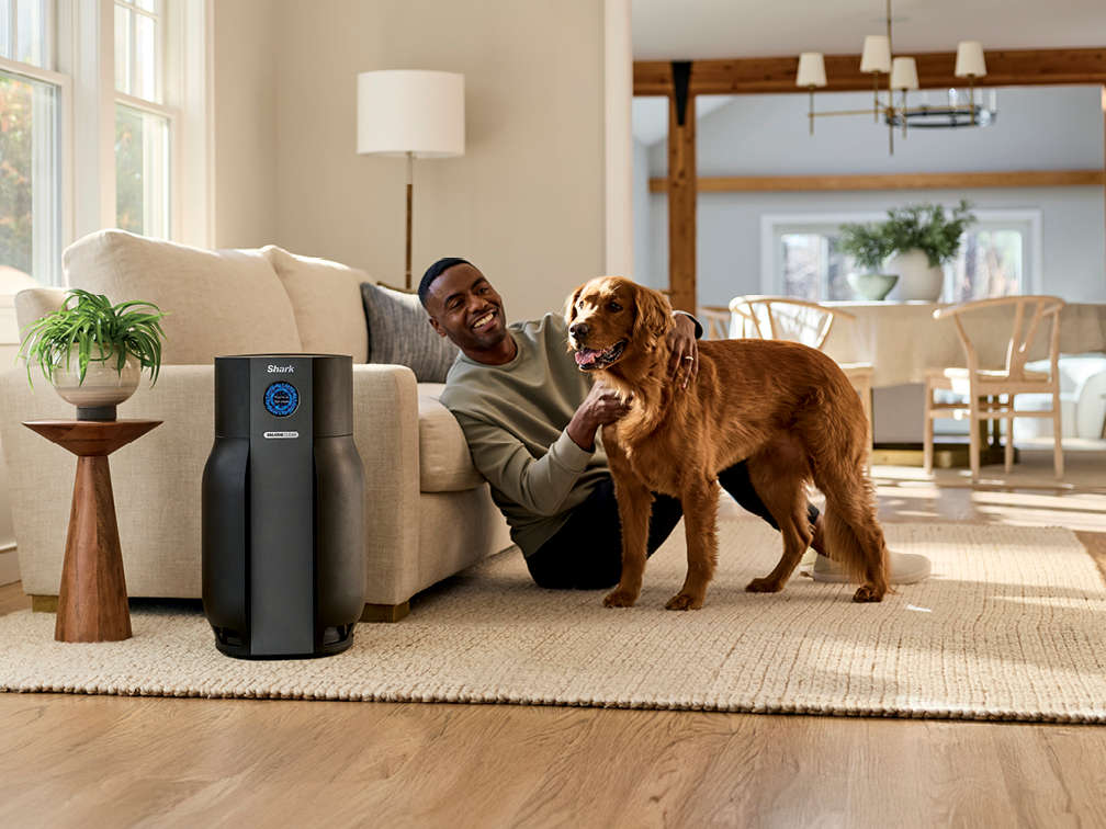 Purify your largest spaces.