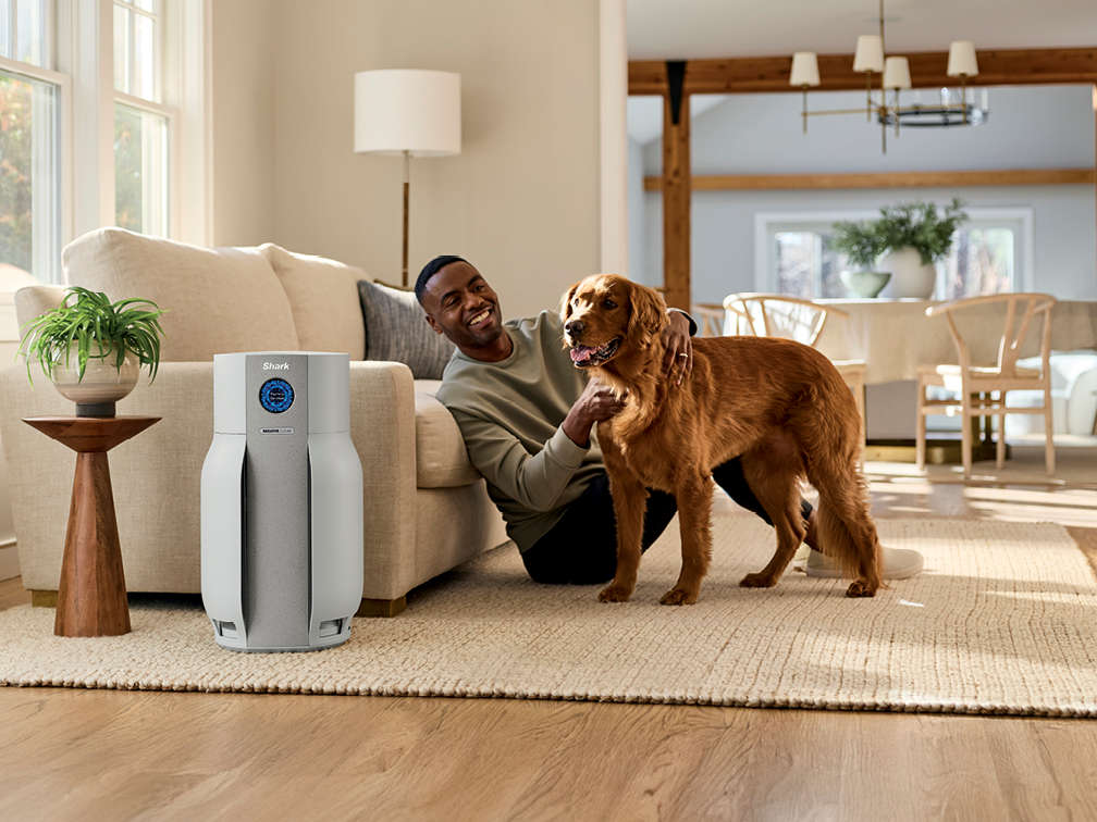 Purify your largest spaces.