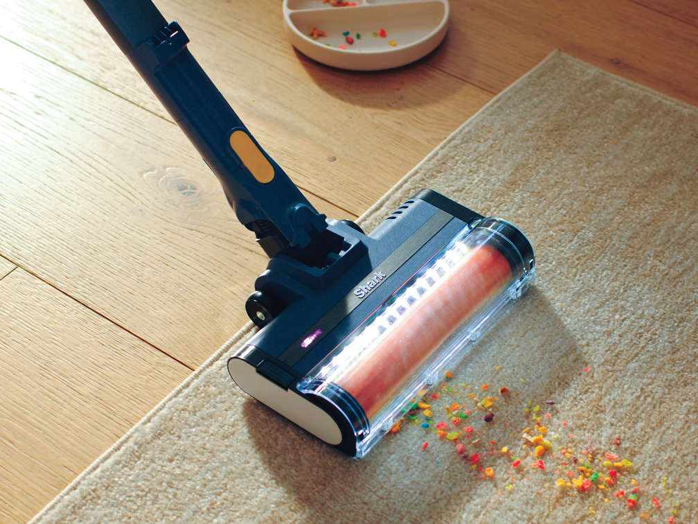 Carpets. Hard floors. Handled.