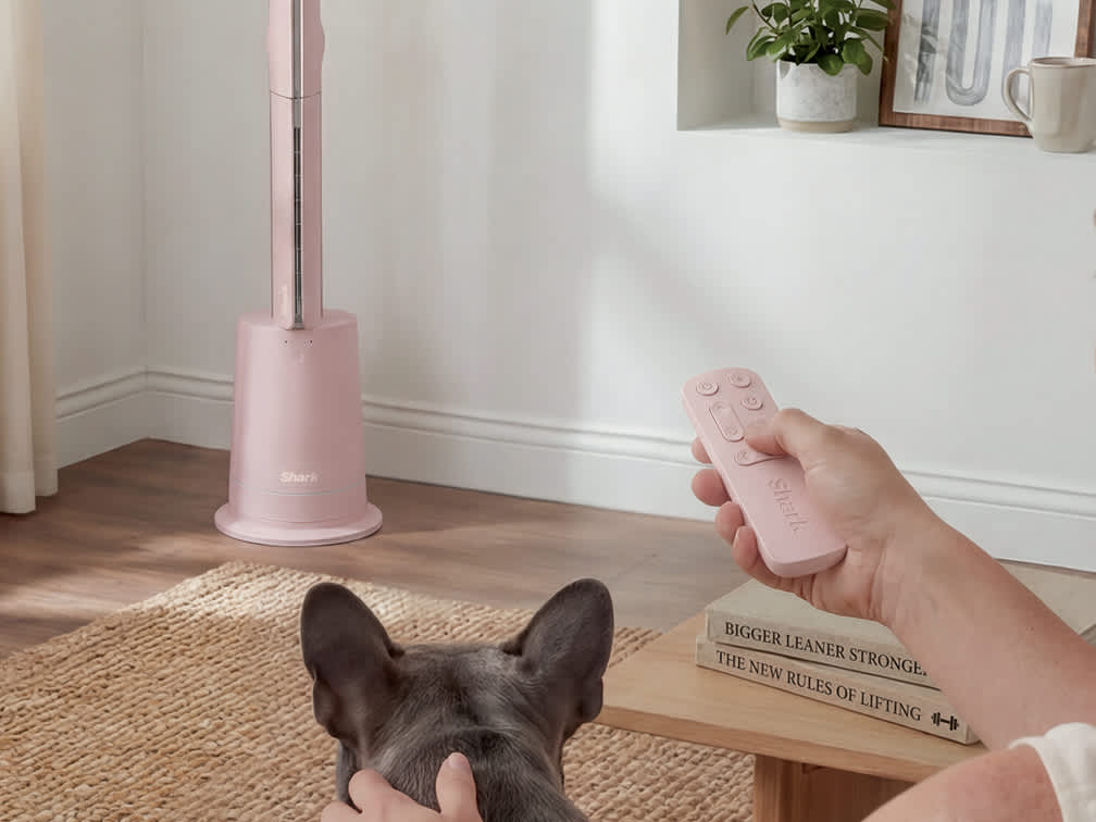 Detachable remote
