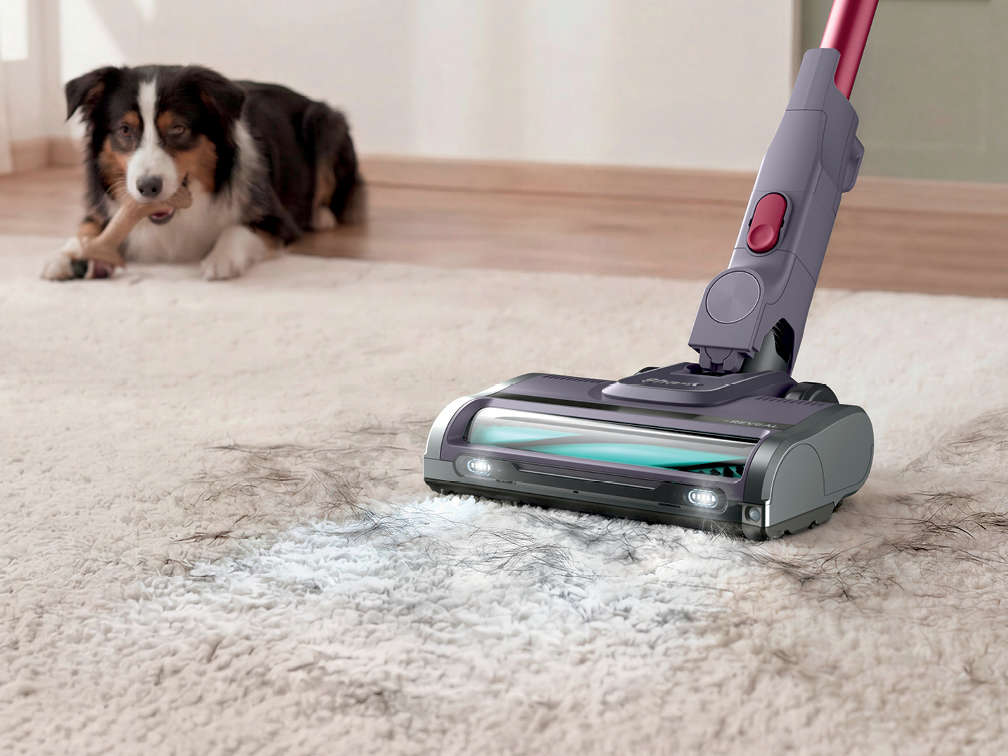 Pet hair, handled.