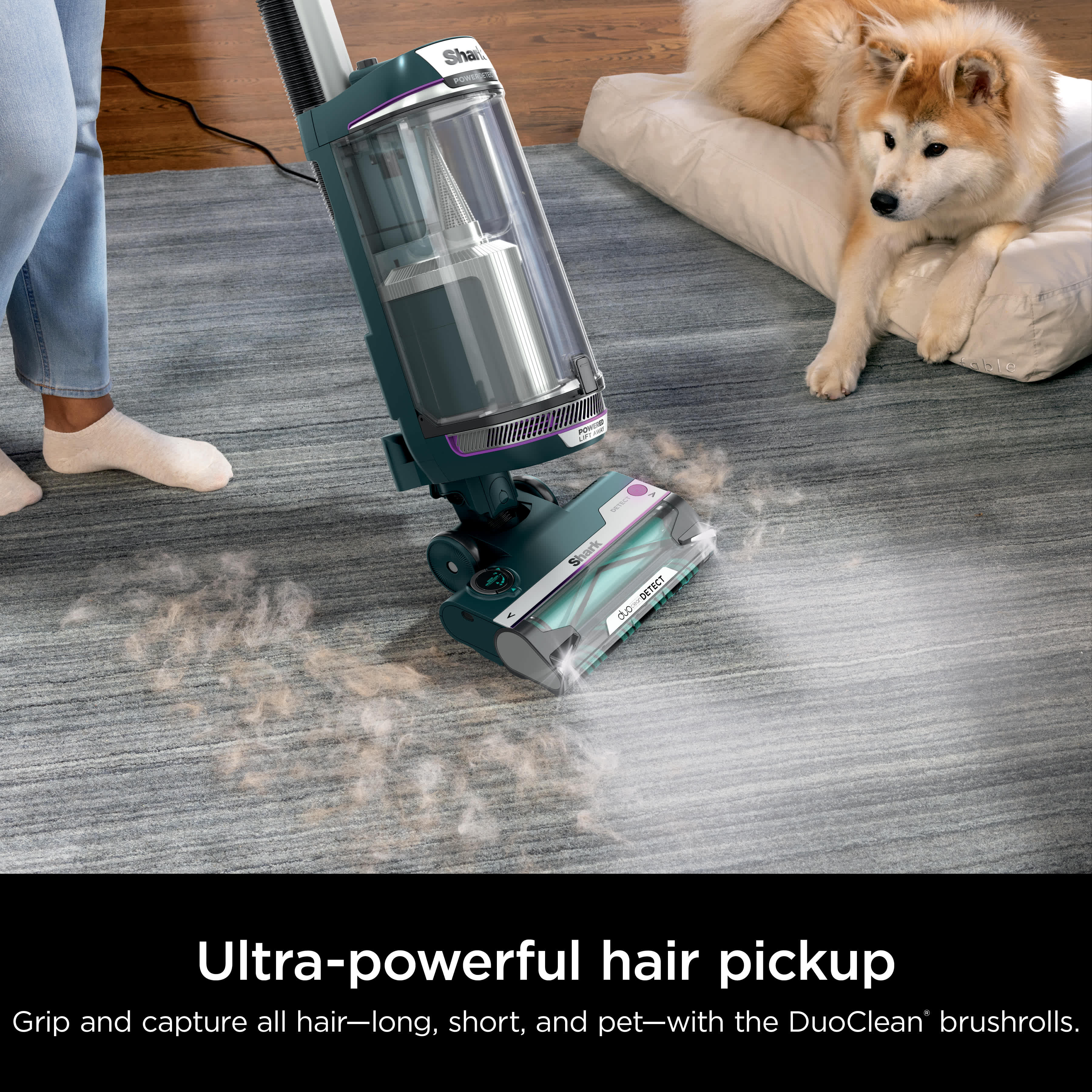 Shark PowerDetect™ Upright Vacuum and Cleaning Tools Bundle