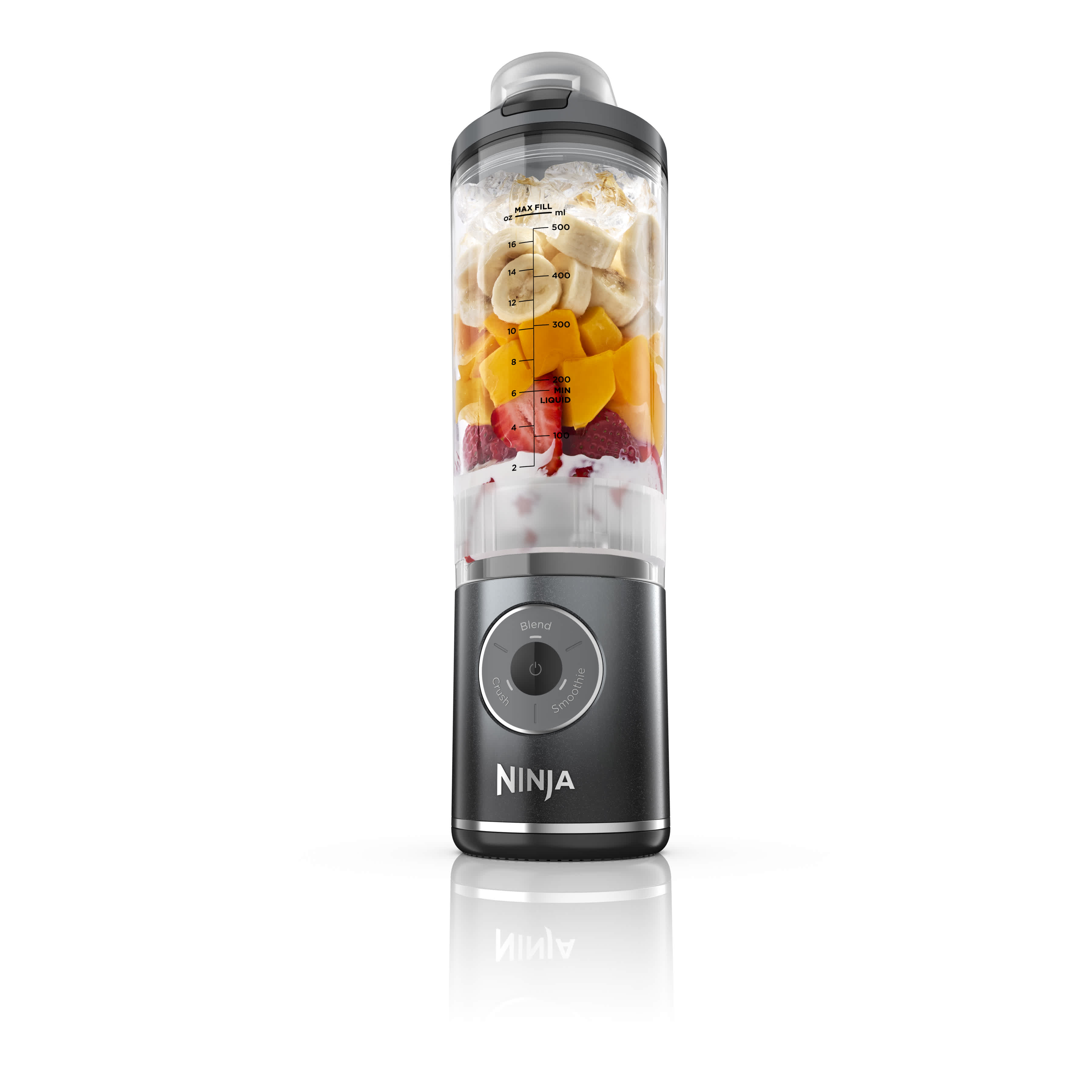 Ninja Blast™ Max Cordless Portable Blender Lavender, 22 oz