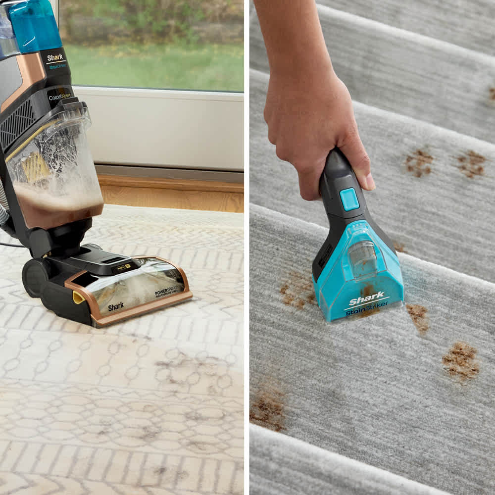 まつぼっくり イガラシトラウザーズシャークスキン Shark CarpetXpert™ HairPro Carpet Cleaner | SharkNinja