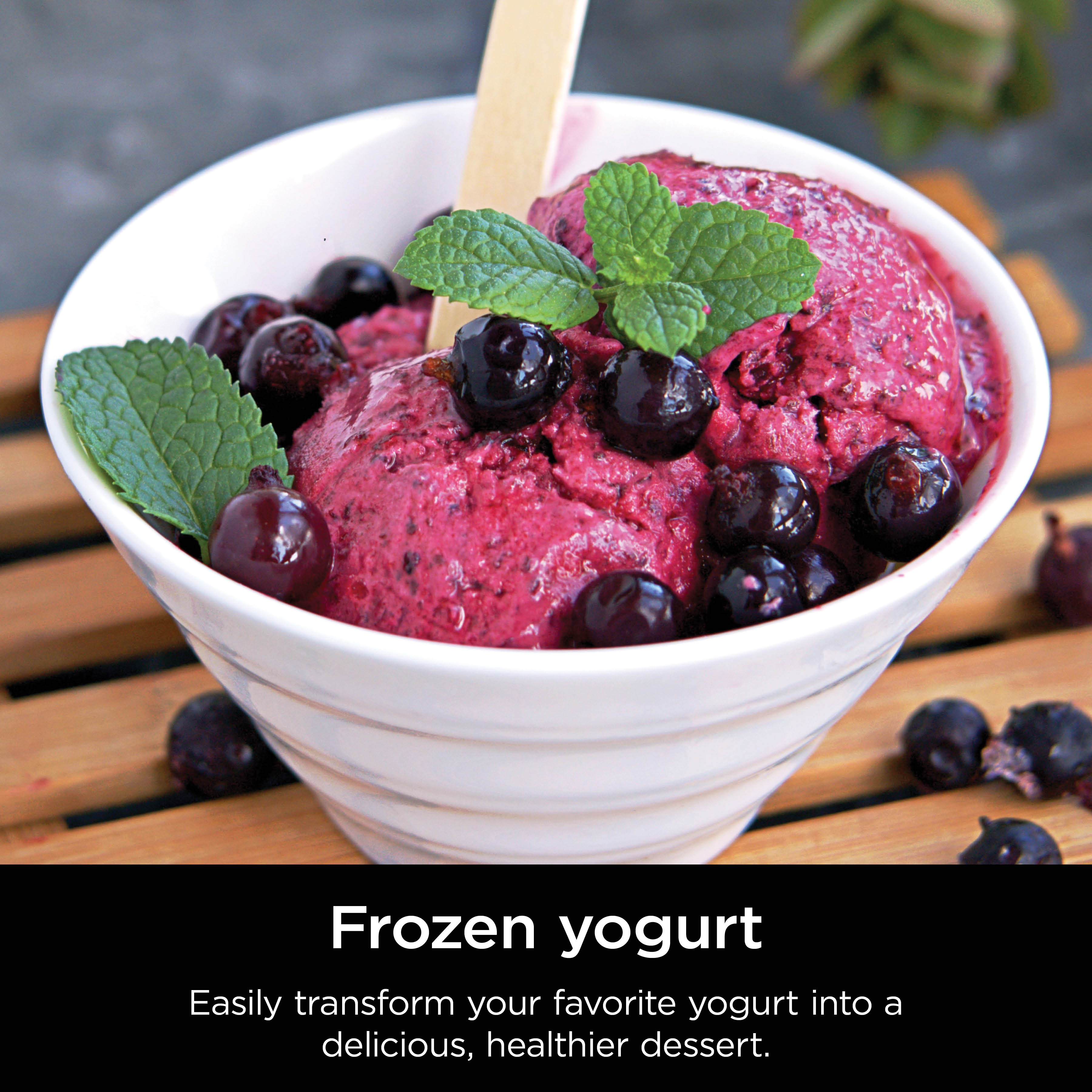 Frozen yogurt