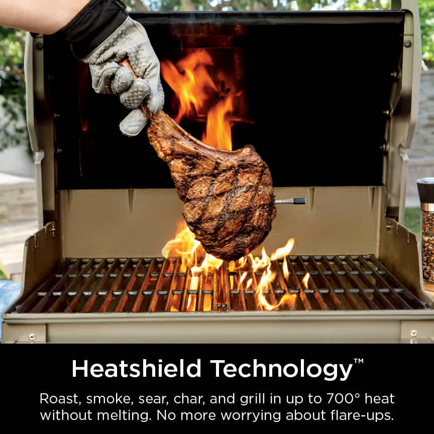 Ninja ProChef™ Wireless Thermometer