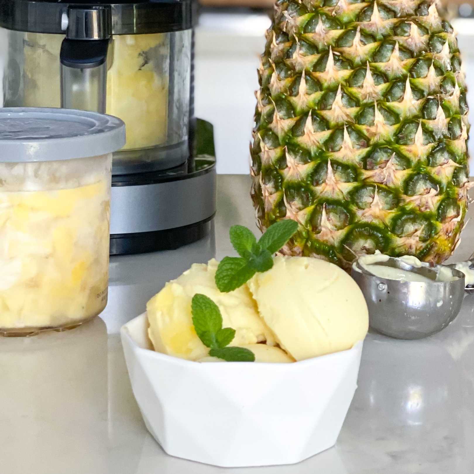 Sorb Fructe Fresh Fruit Sorbet - Ninja Test Kitchen
