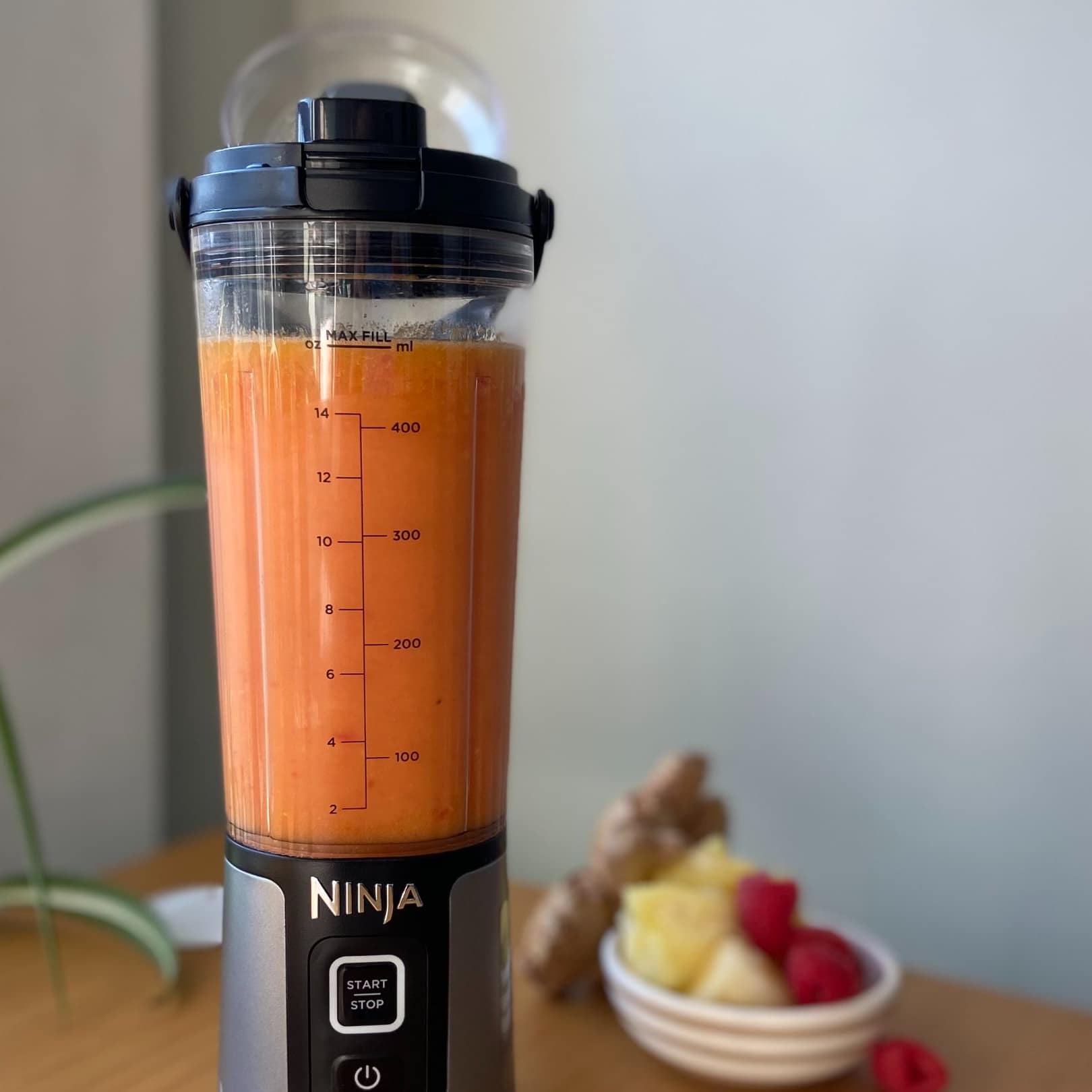 じんじゃー Ginger Orange Extract - Ninja Test Kitchen