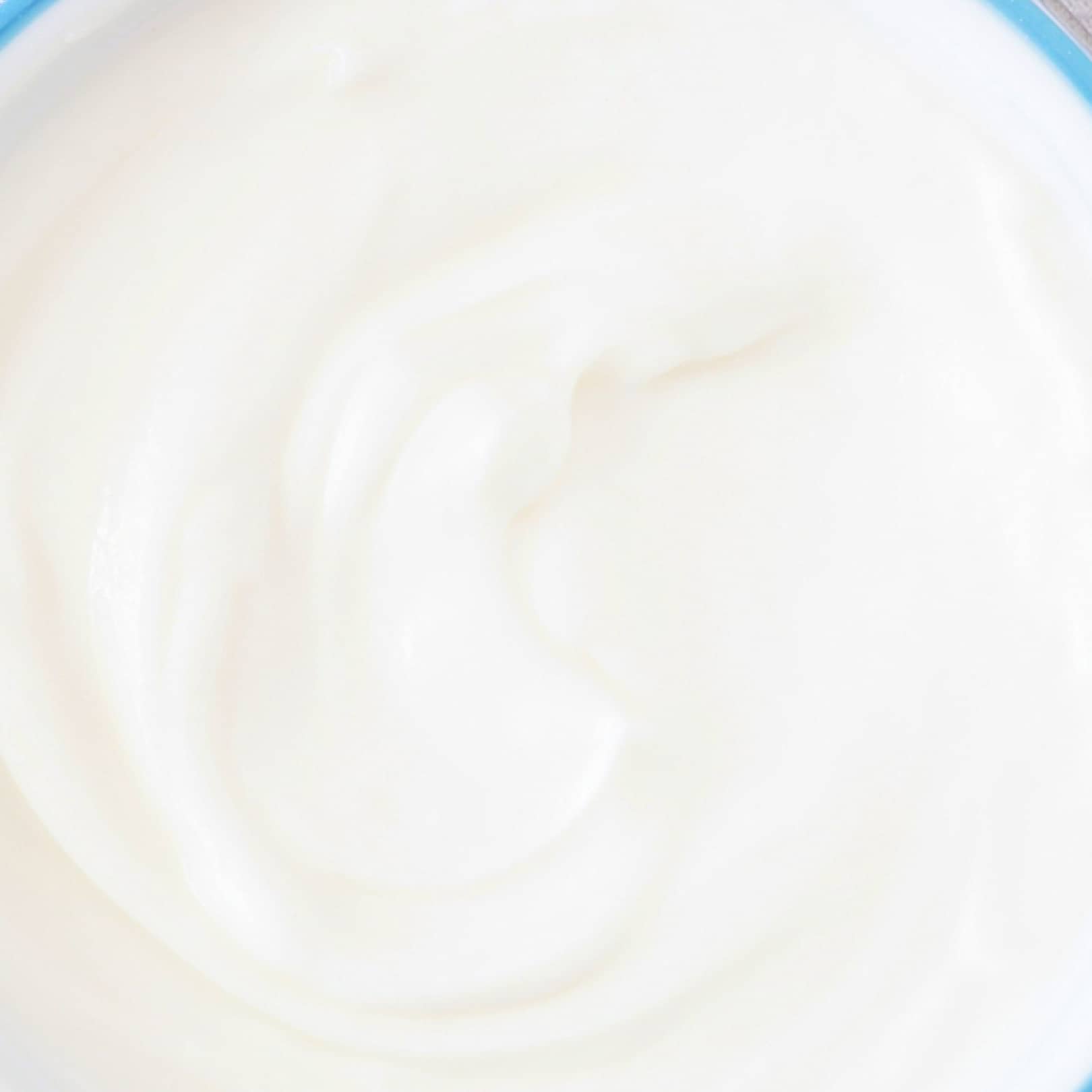Homemade Vanilla Yogurt in Air Fryer with Yogurt/Dehydrate Function – Creamy Recipe