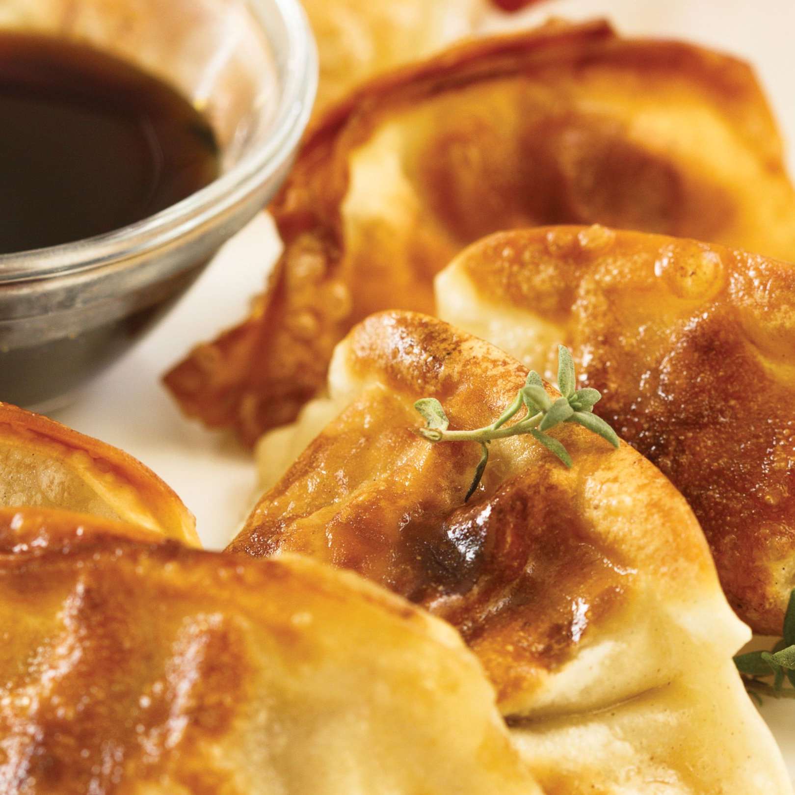 Pot Stickers Ricardo Pot Stickers - Ninja Test Kitchen