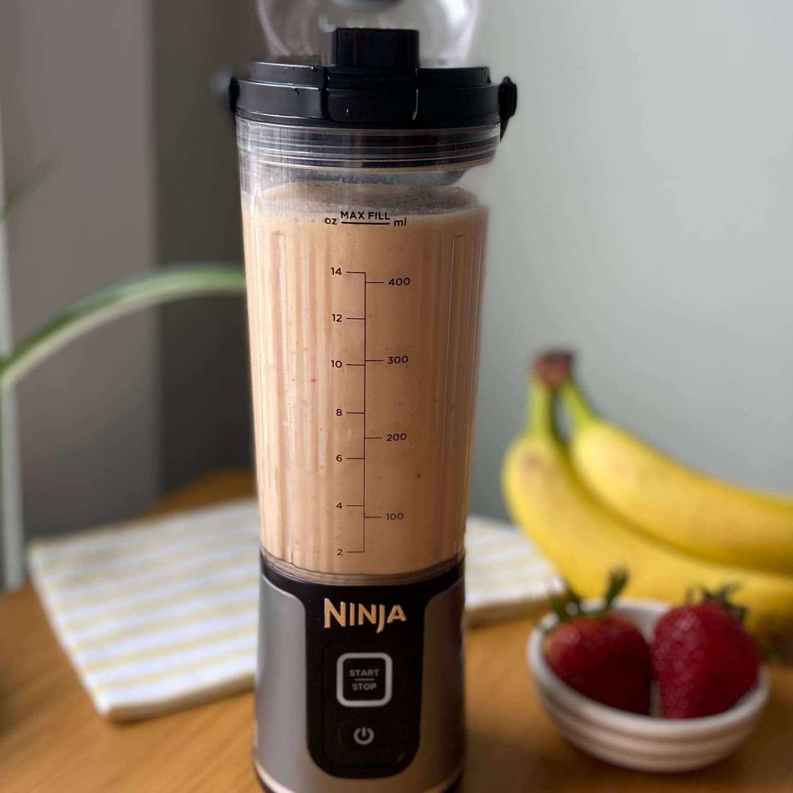 Ninja blender protein smoothie muscle building