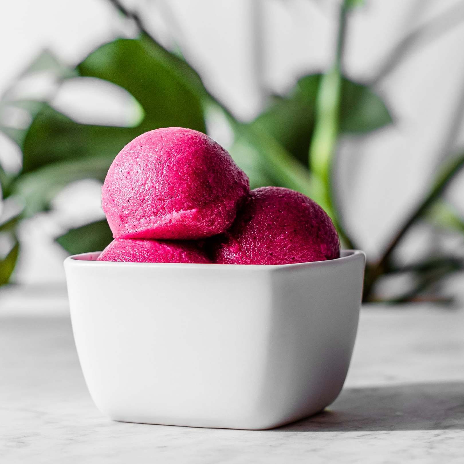 sorbet Tropical Boozy Sorbet - Ninja Test Kitchen