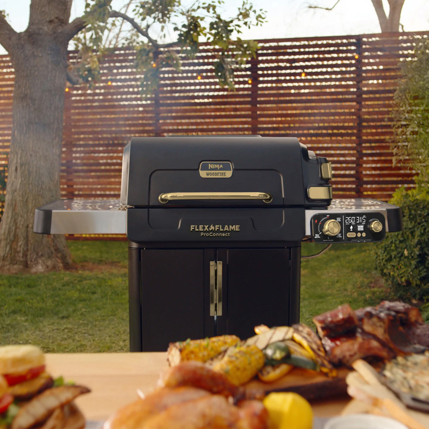 Image of Ninja BBQ Grills