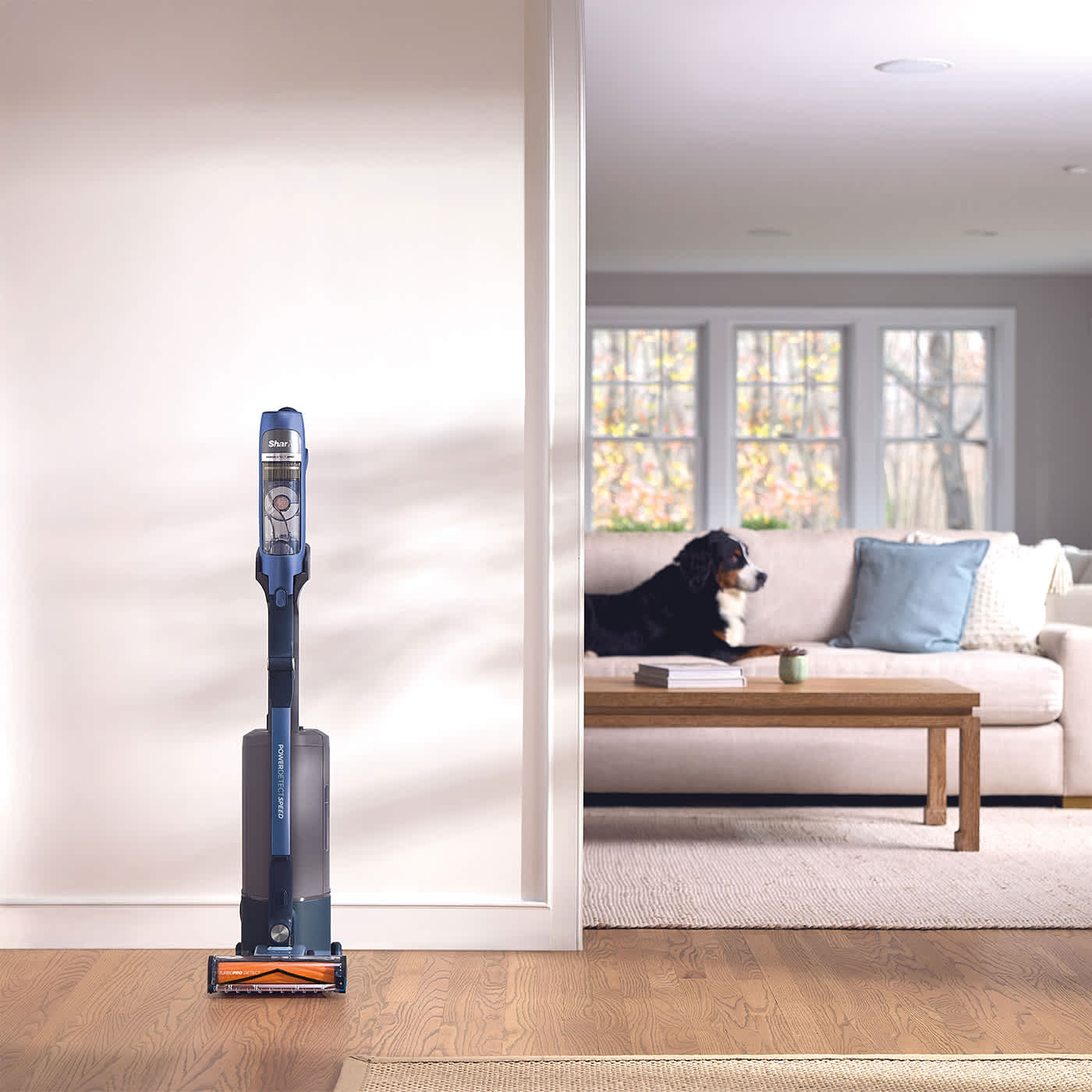 Station de charge &agrave; vidage automatique, avec filtration HEPA***