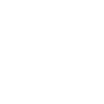 Dollar Sign Tag